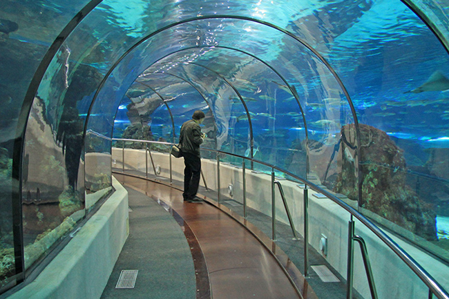 Barcelona's Aquarium